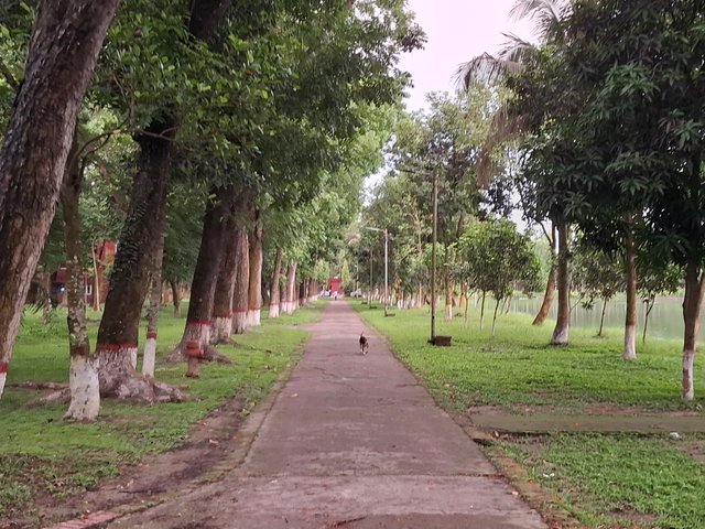 1000031949.jpg