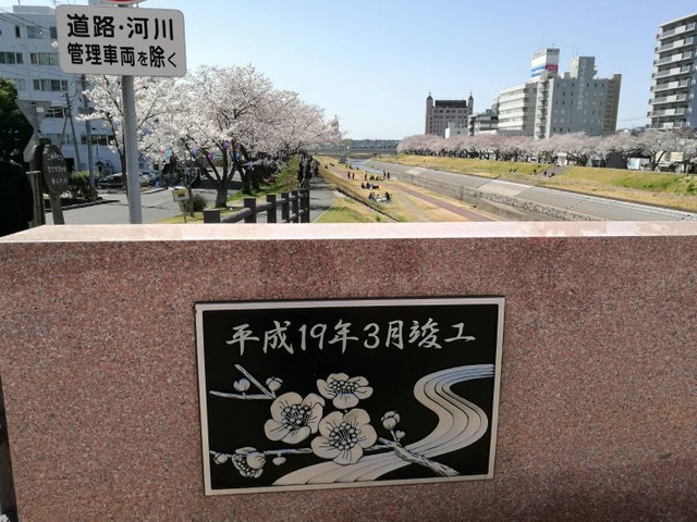 Sakura8.jpg