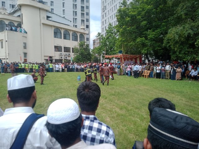 IMG20250629104154.jpg