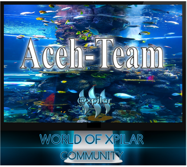 aceh steem.png