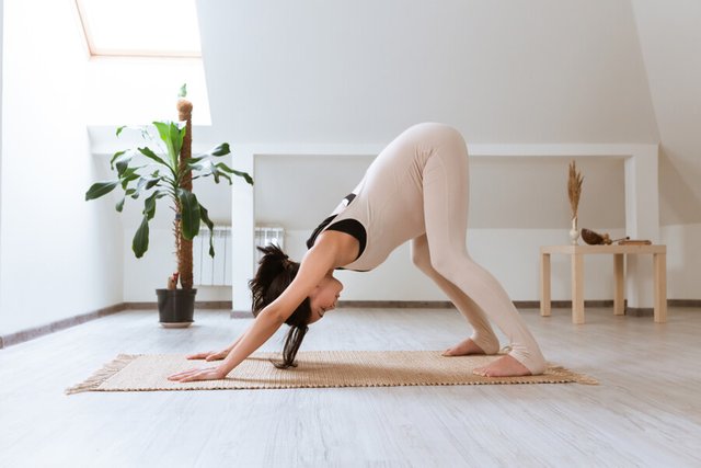 Dog – Downward facing.jpg