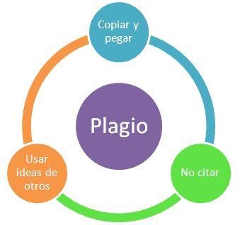 PLAGIO 2.JPG