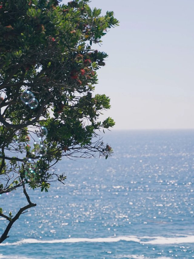 🌊永远会被Laguna的蓝，美到心颤。_5_为什么美术馆_来自小红书网页版.jpg