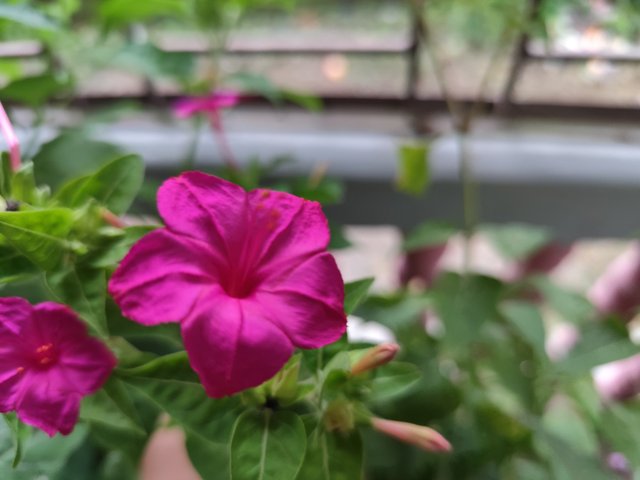 IMG_20250809_175743.jpg