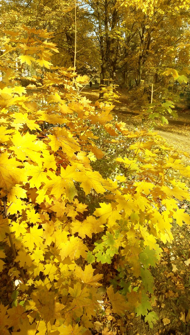 20181017_144322.jpg