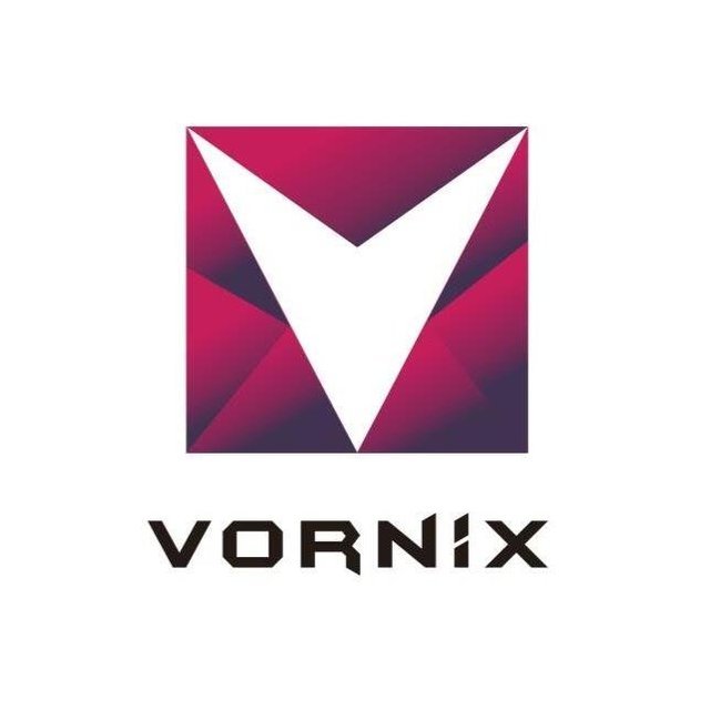 vornix.jpeg