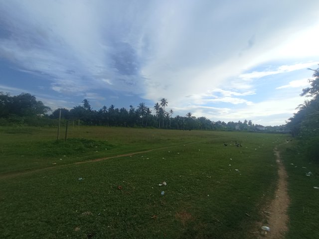 IMG_20250716_165157.jpg