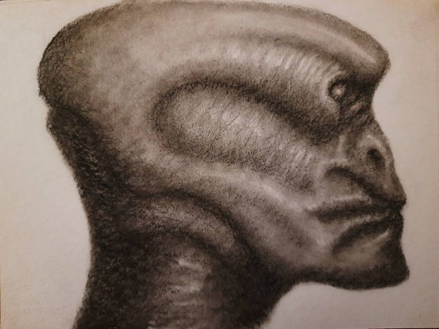 20250606_112308.jpg