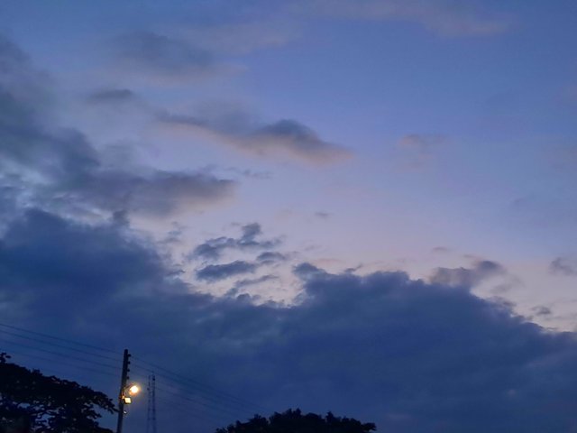 1000084072.jpg