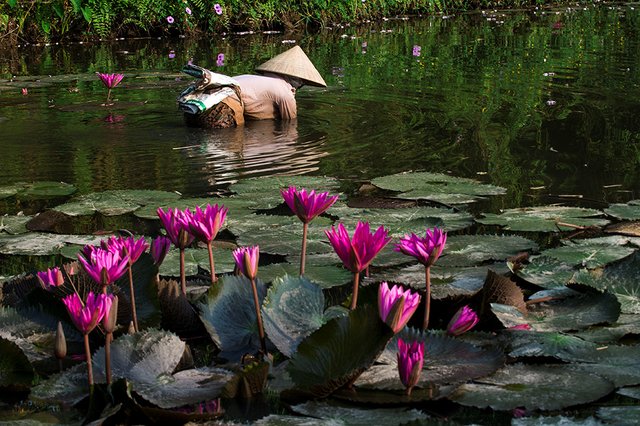 ninhbinh_0698_1024.jpg