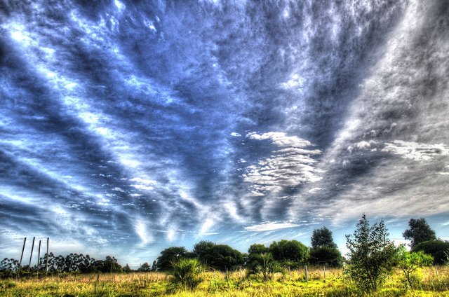 Maldonado-Chemtrails-Enhanced.jpg