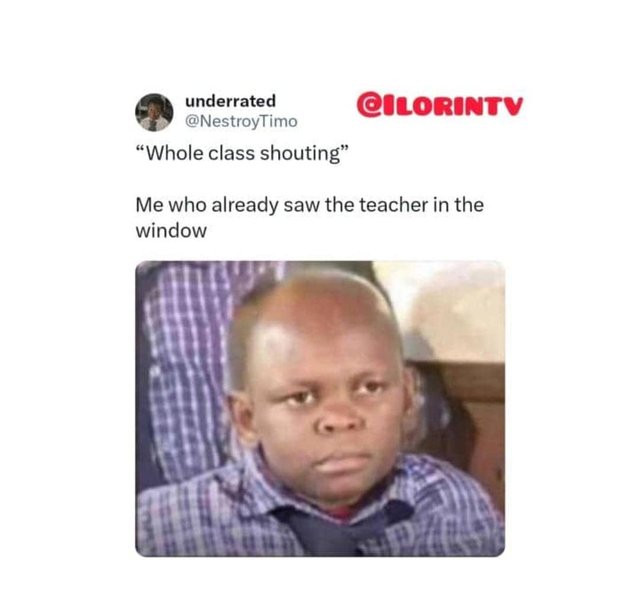 1000221013.jpg