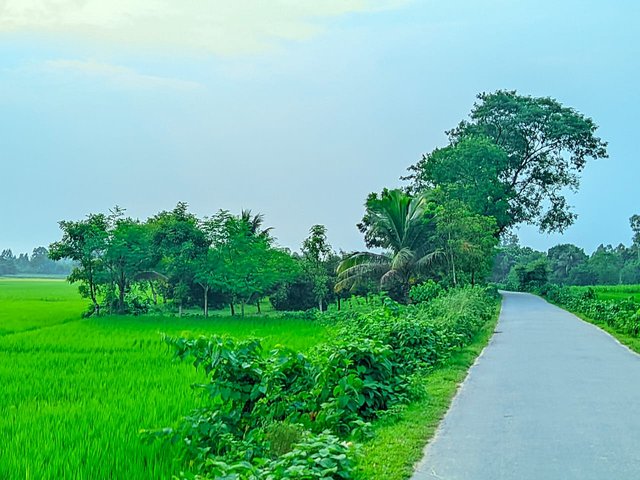 1000047800.jpg