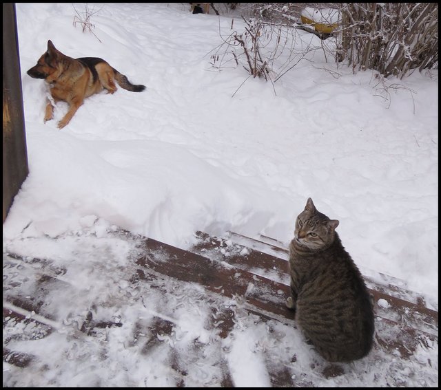 JJ on deck Bruno in snow behind.JPG