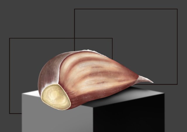 garlic_05.jpg