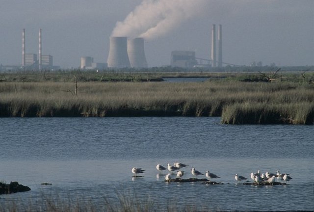 contaminación-agua-3.jpg