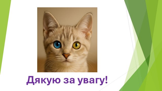 Слайд34.JPG