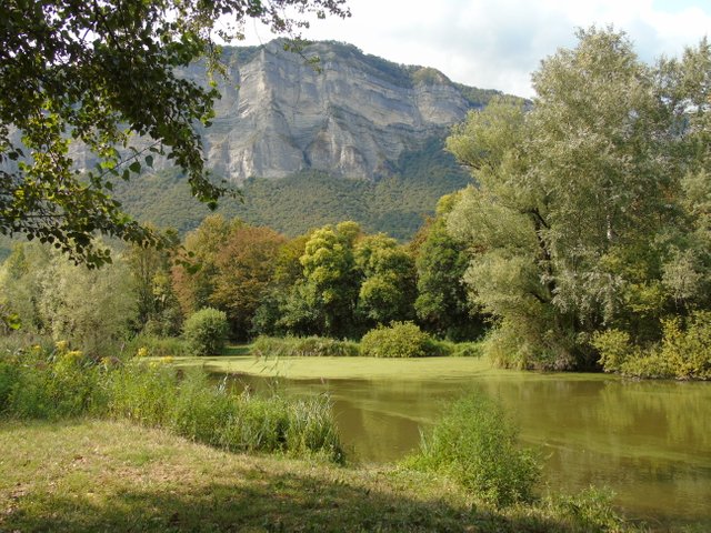 1marais montfort (6).JPG