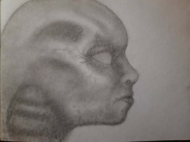20250422_105324.jpg