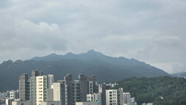1000126079.jpg