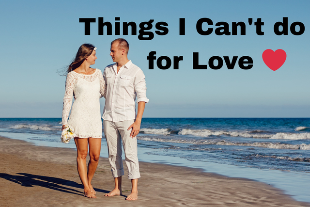 Things I Can't do for Love.png