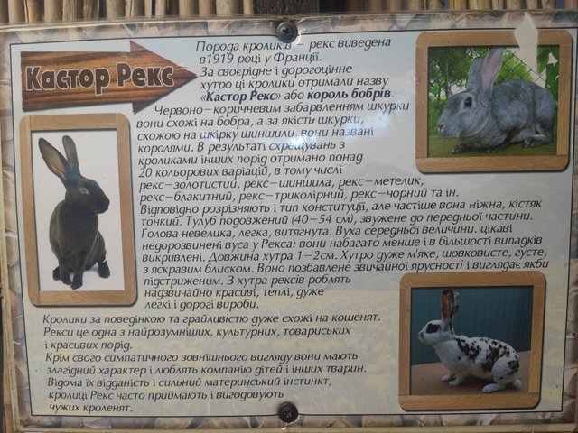 1000324220.jpg
