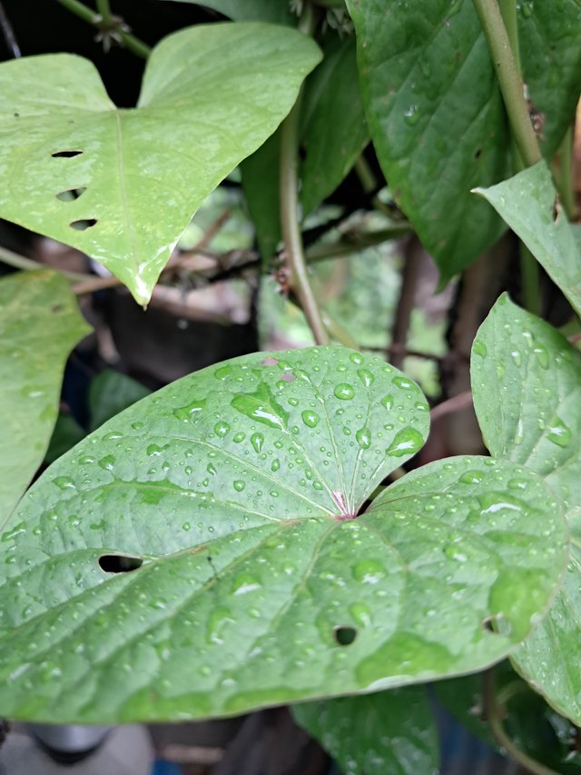 20250727_093315.jpg