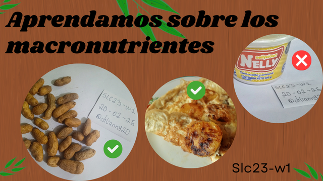 LATAM Miniatura Youtube sobre comida Receta saludable  Sencillo Verde y Bla_20250220_075617_0000.png