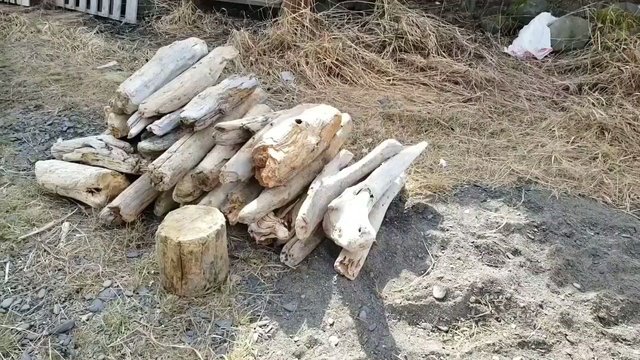 VideoCapture_20190519-144151.jpg