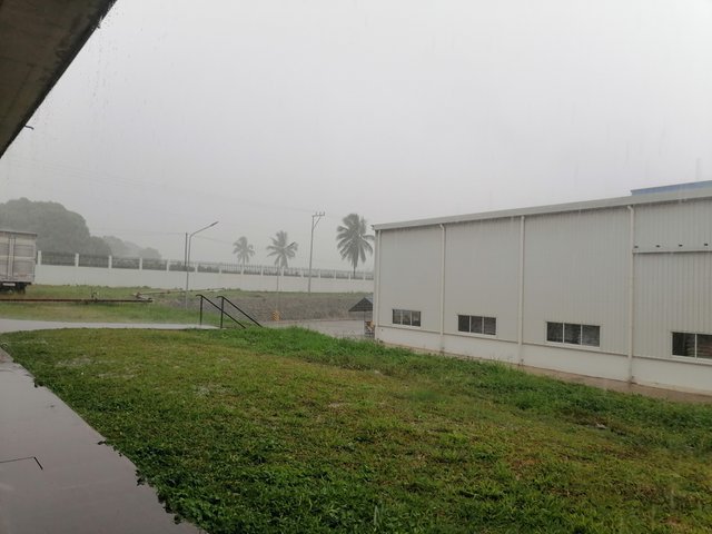 IMG_20210916_153316.jpg