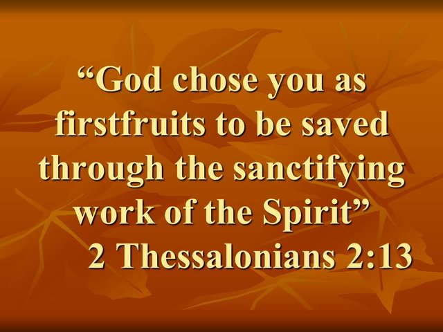 Persevere in faith. God chose you as firstfruits to be saved through the sanctifying work of the Spirit.jpg