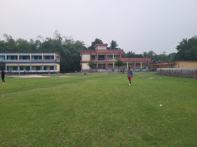20250422_174542.jpg