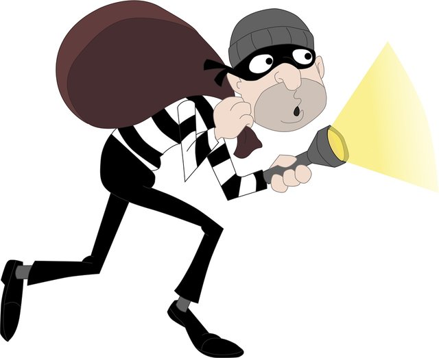 burglar-4925202_1280.jpg