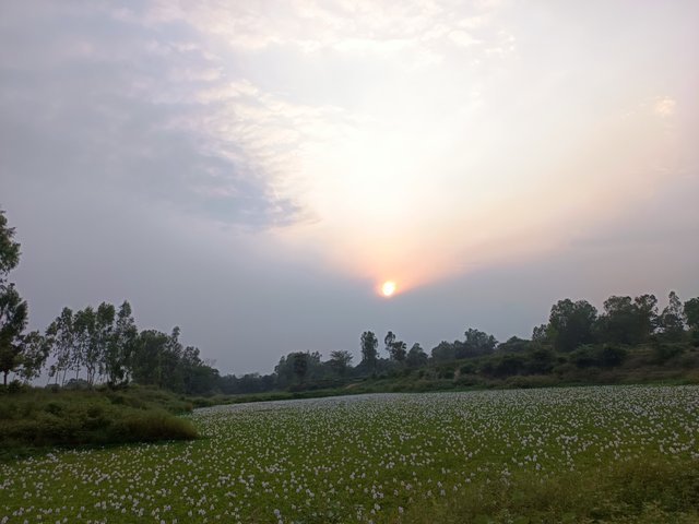 1000004850.jpg