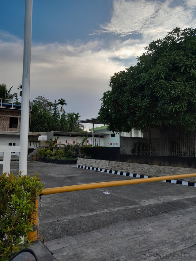 20250413_175417.jpg