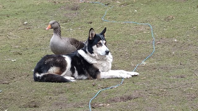 IMG_20190316_150500587.jpg