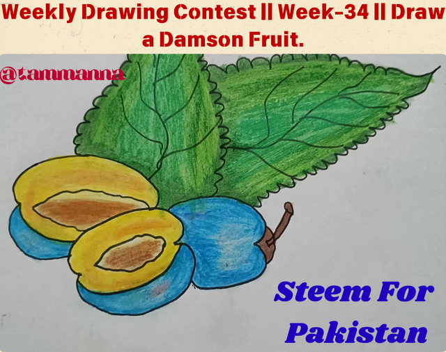 Weekly Drawing Contest  Week-34  Draw a Damson Fruit..png