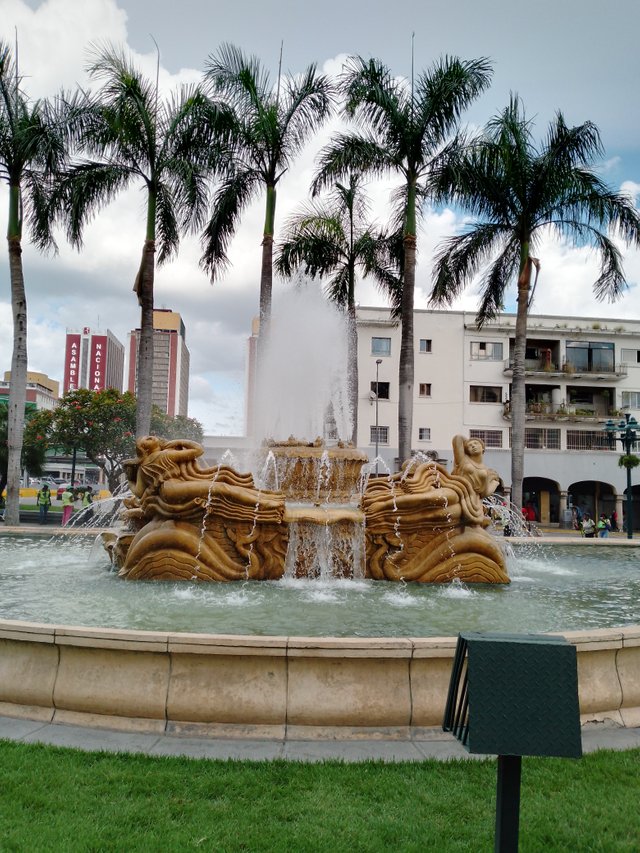 IMG_20250816_165634_801.jpg