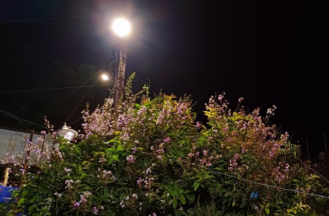 20250719_192818.jpg