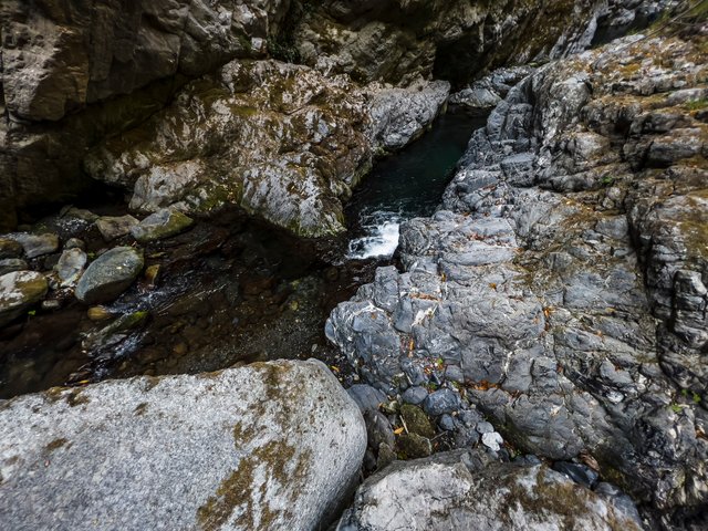 IMG_5185.jpg