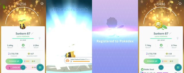 Evolving Sunkern for quest and new dex registry.jpg