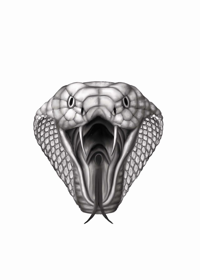 Snakehead Snake - one line drawing' Bandana | Spreadshirt