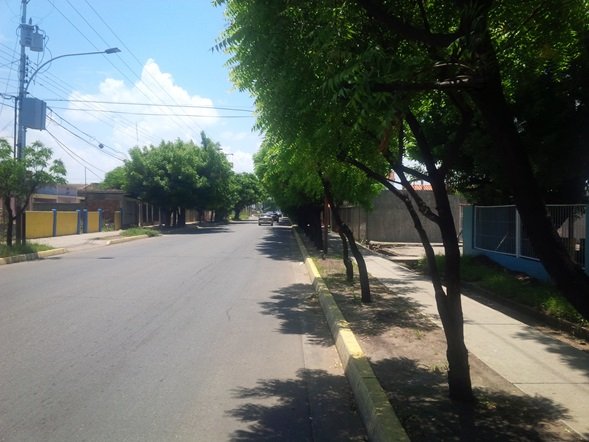 avenida.jpg