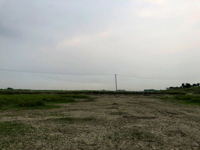 IMG_1971-01.jpeg