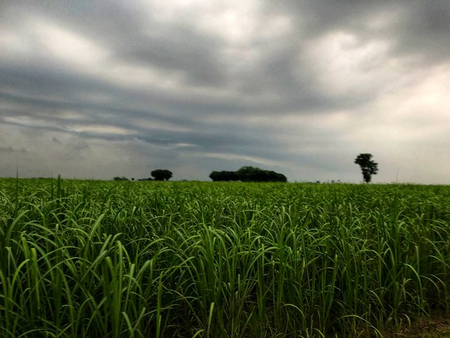 IMG_2007-01.jpeg