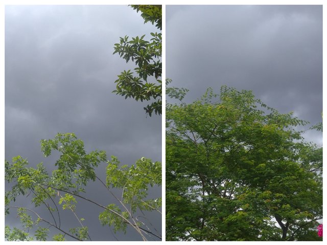20250426_153840-COLLAGE.jpg