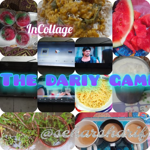 InCollage_20250602_094257310.jpg