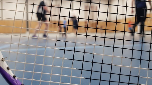 badminton-4730824_1280.jpg