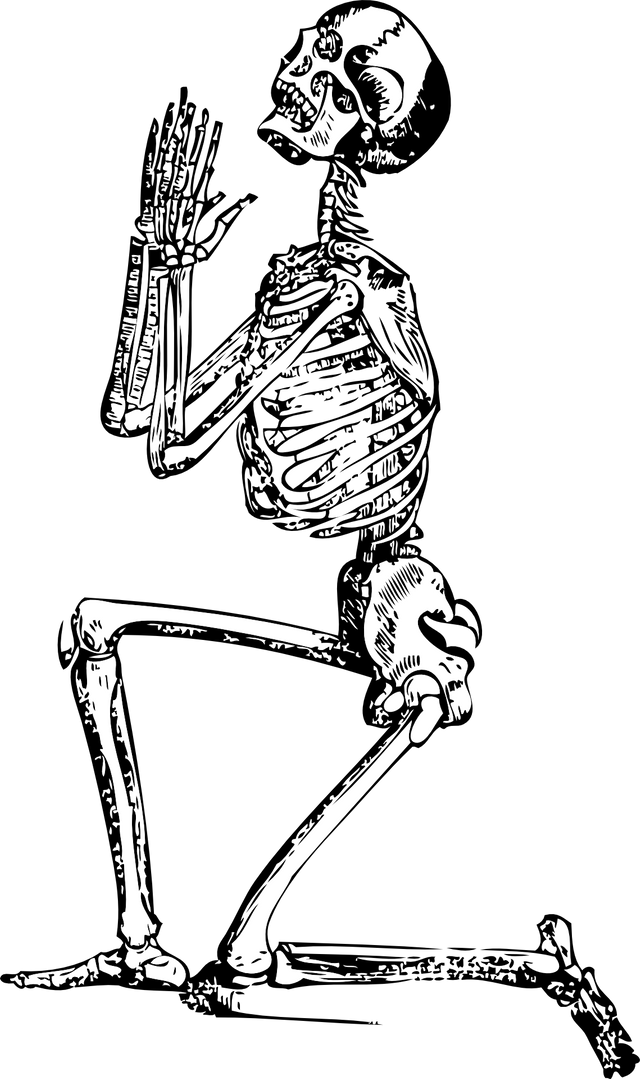 skeleton-33847.png