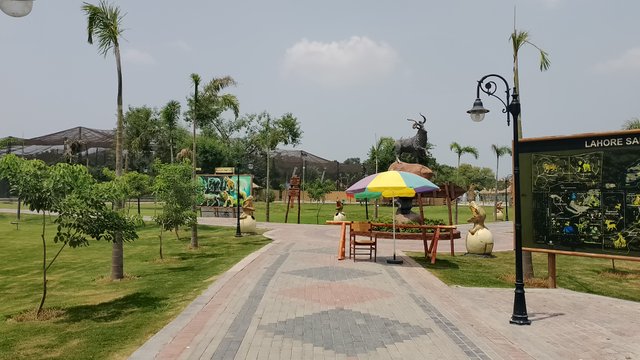IMG_20250808_125558.jpg